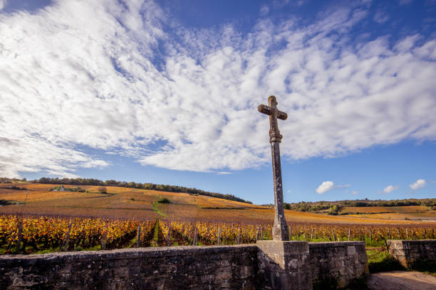 Domaine Jacques Cacheux – King's Wine Cellar
