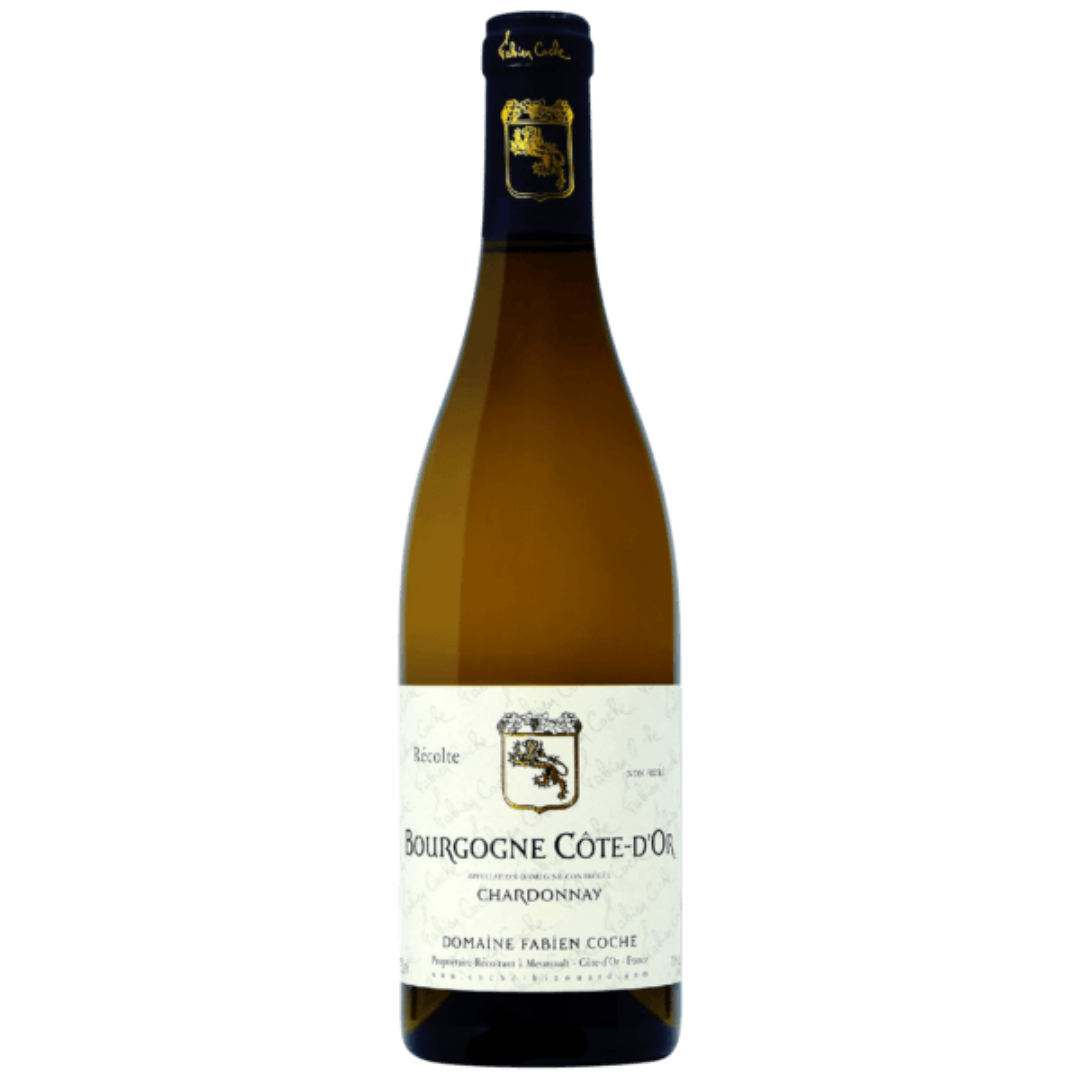 2019 Domaine Fabien Coche Bourgogne Coted'Or Blanc King's Wine Cellar