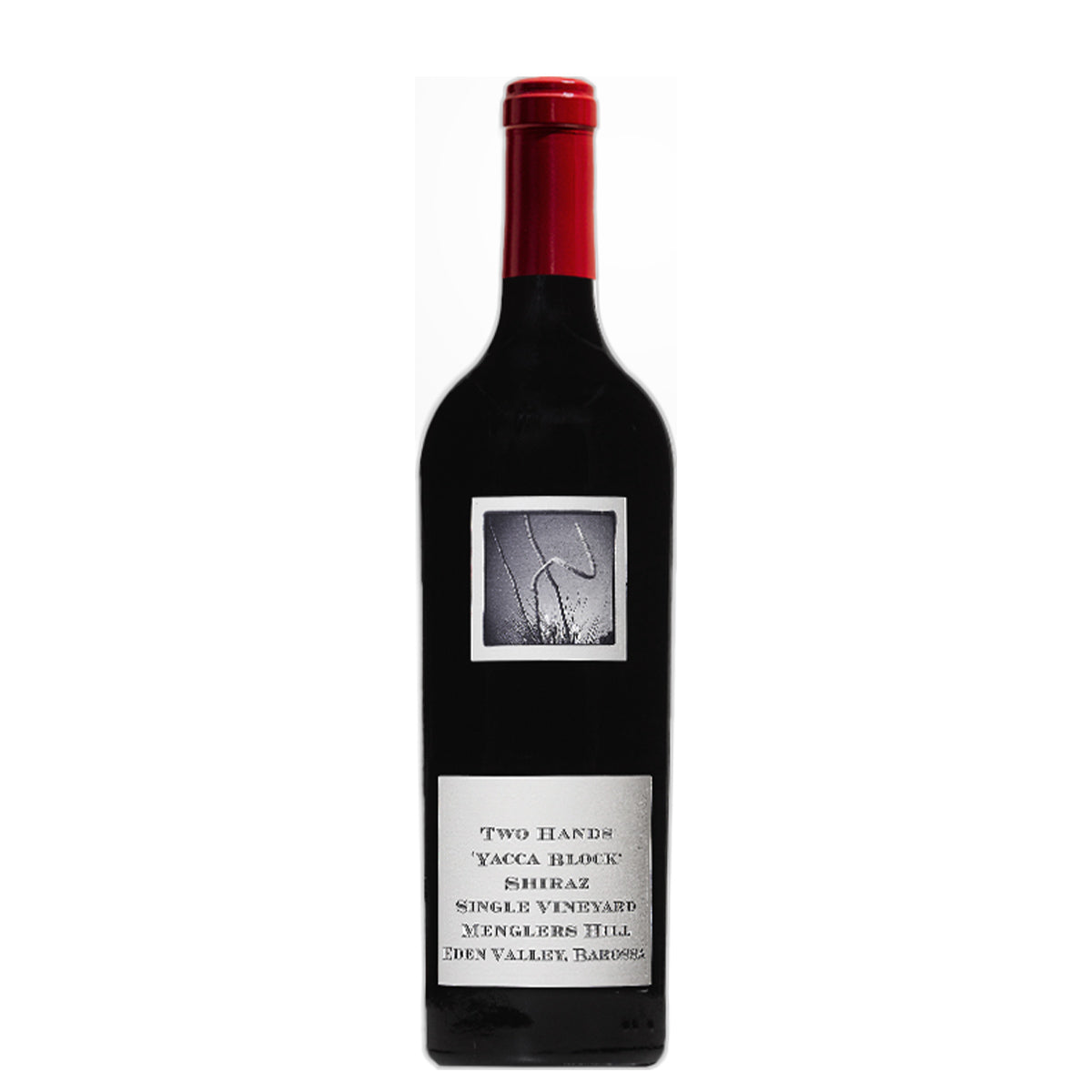 2019 Two Hands Shiraz Yacca Block Eden King's Wine Cellar