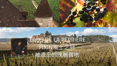 Fixin風土之冠 被遺忘的瑰麗寶地