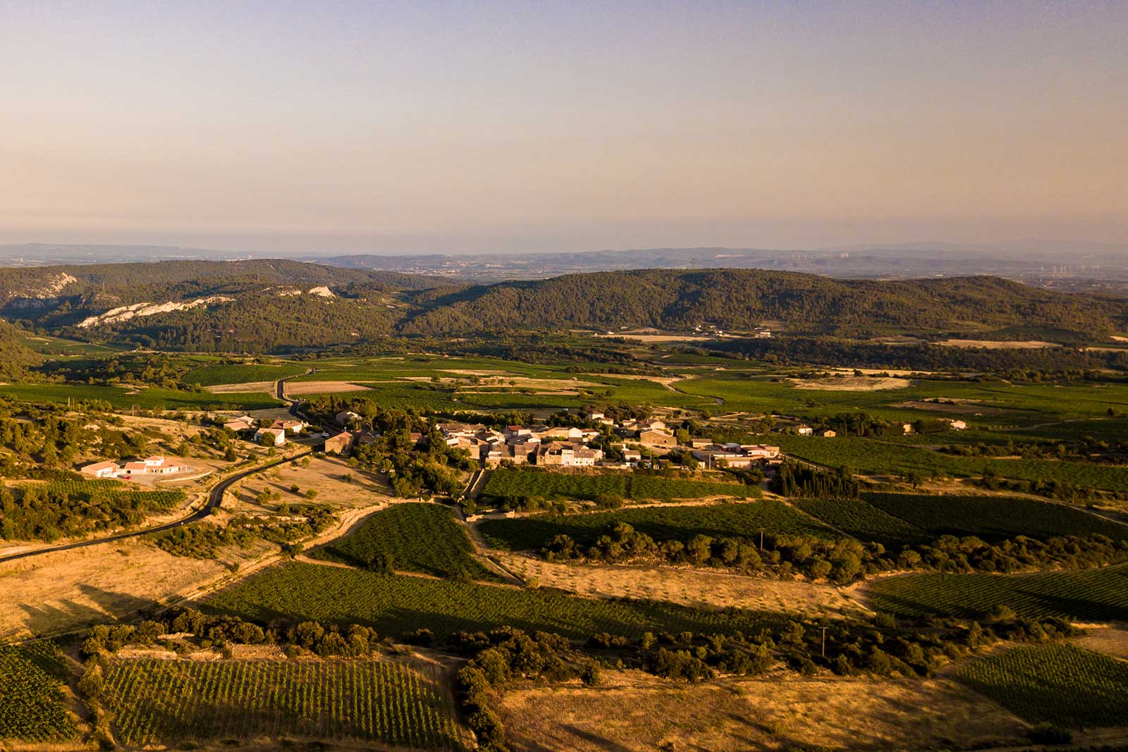 Domaine Anne Gros & Jean Paul Tollot Languedoc Vineyard