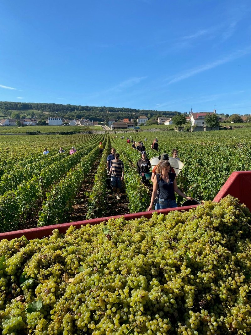 Domaine Fernand & Laurent
