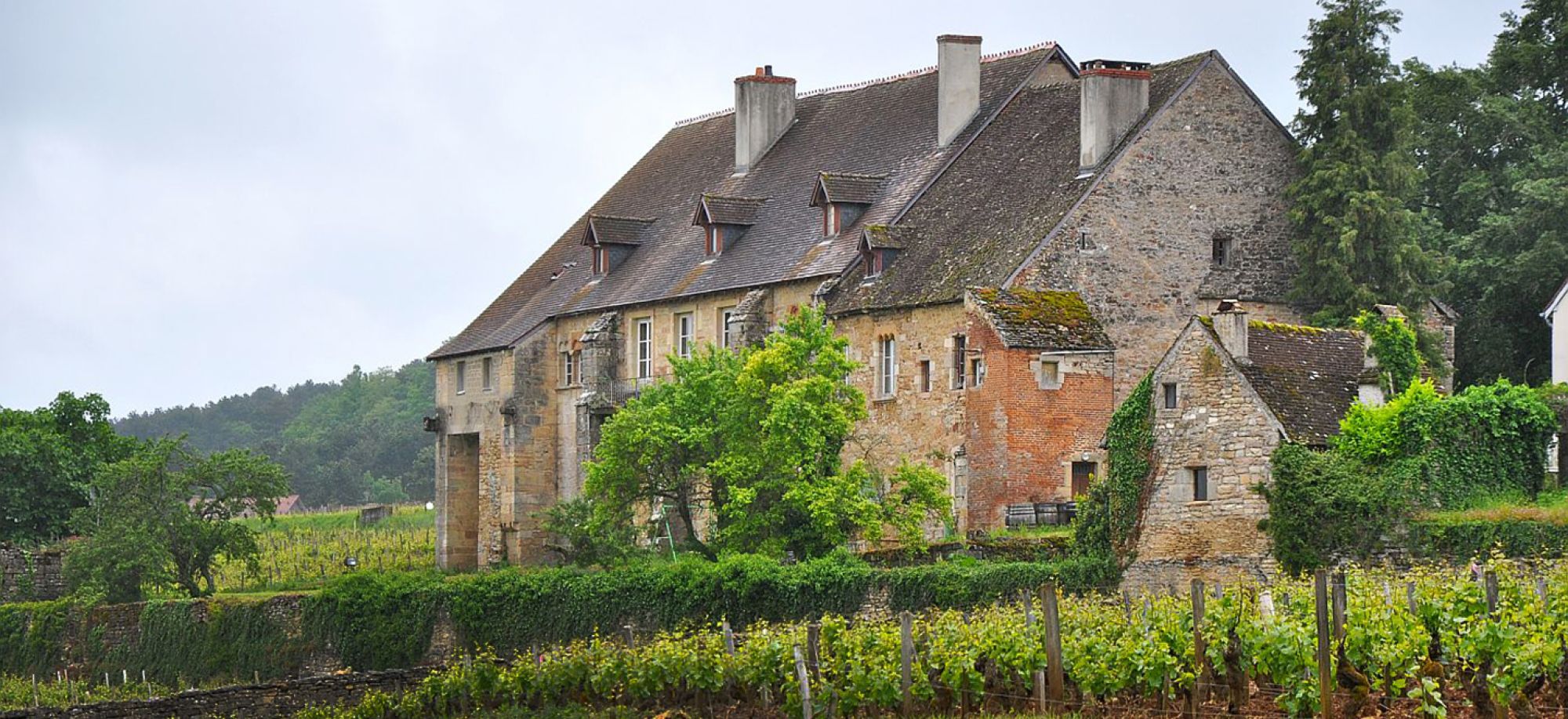 Domaine Joliet Clos de la Perrière