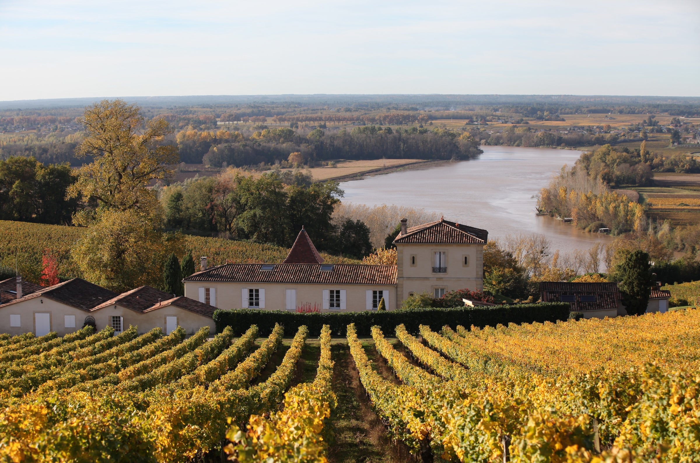 Clos Floridène vineyards in Graves