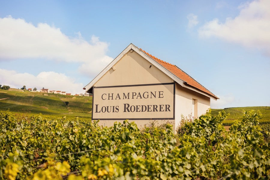 Louis Roederer Champagne Vineyards and Estate