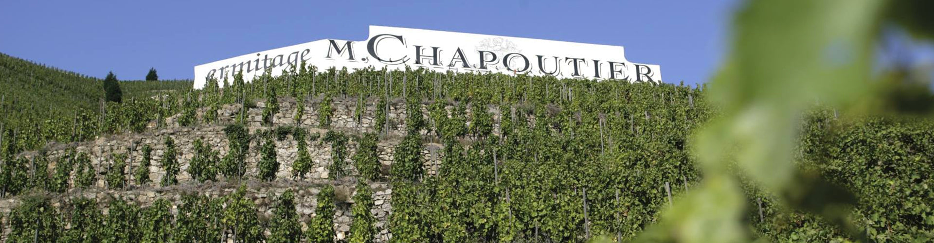 M. Chapoutier Vineyard Banner