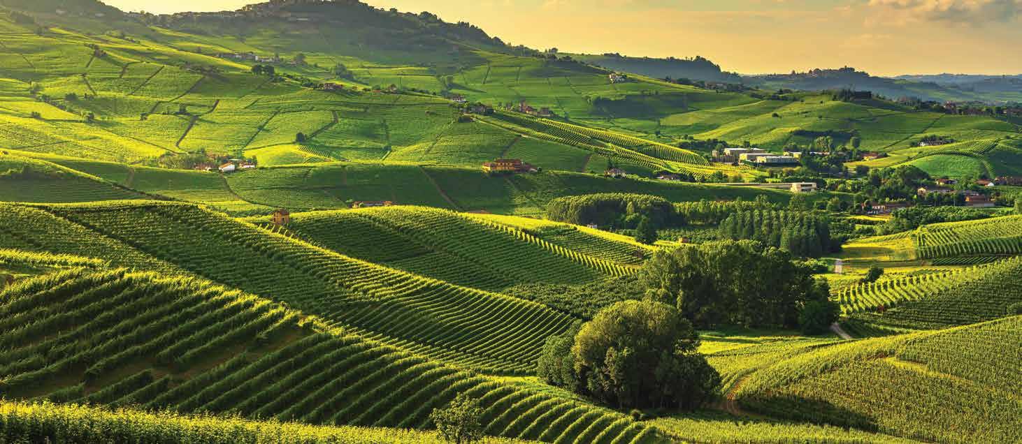 Tenuta Garetto