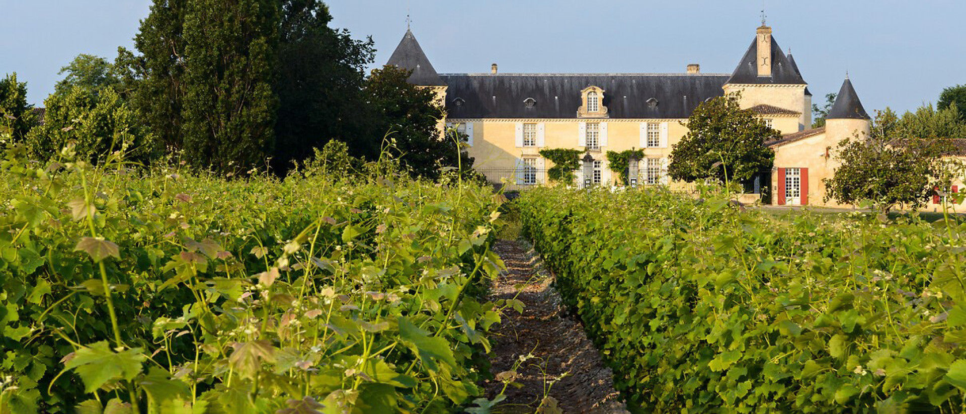 Château Suduiraut Vineyard and Estate