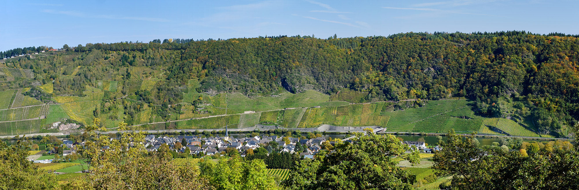 Weingut Vollenweider Mosel Riesling