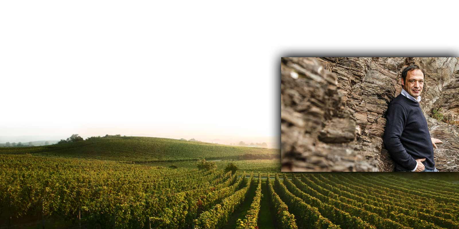 Markus Molitor Mosel Vineyards