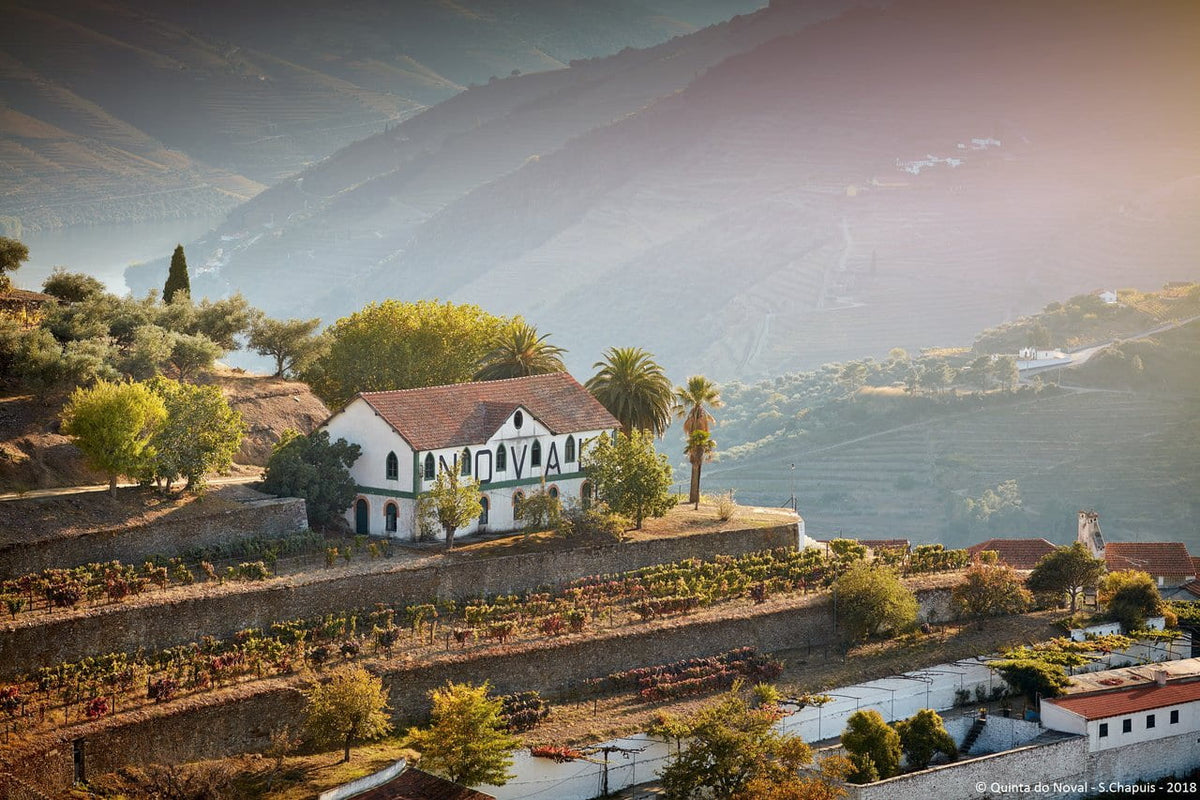 Quinta do Noval estate and Douro Valley vineyards