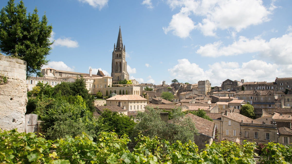Saint-Émilion vineyard landscape for Château L’If