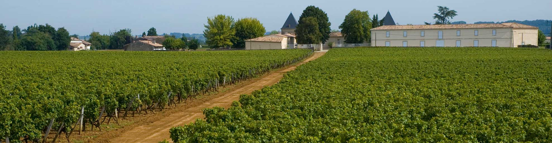 Château Climens Vineyard