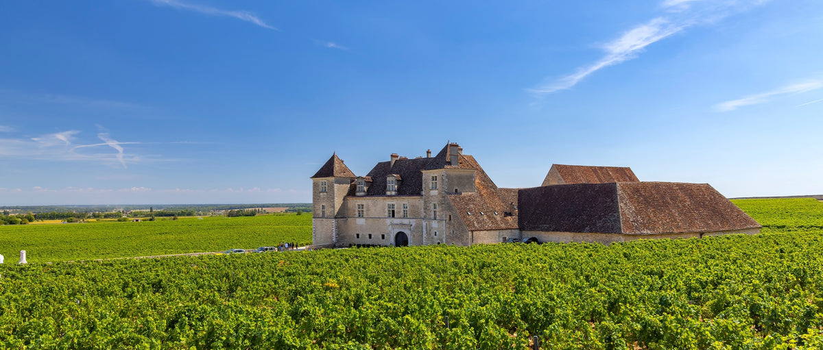 Echezeaux vineyard in the Côte de Nuits, Burgundy