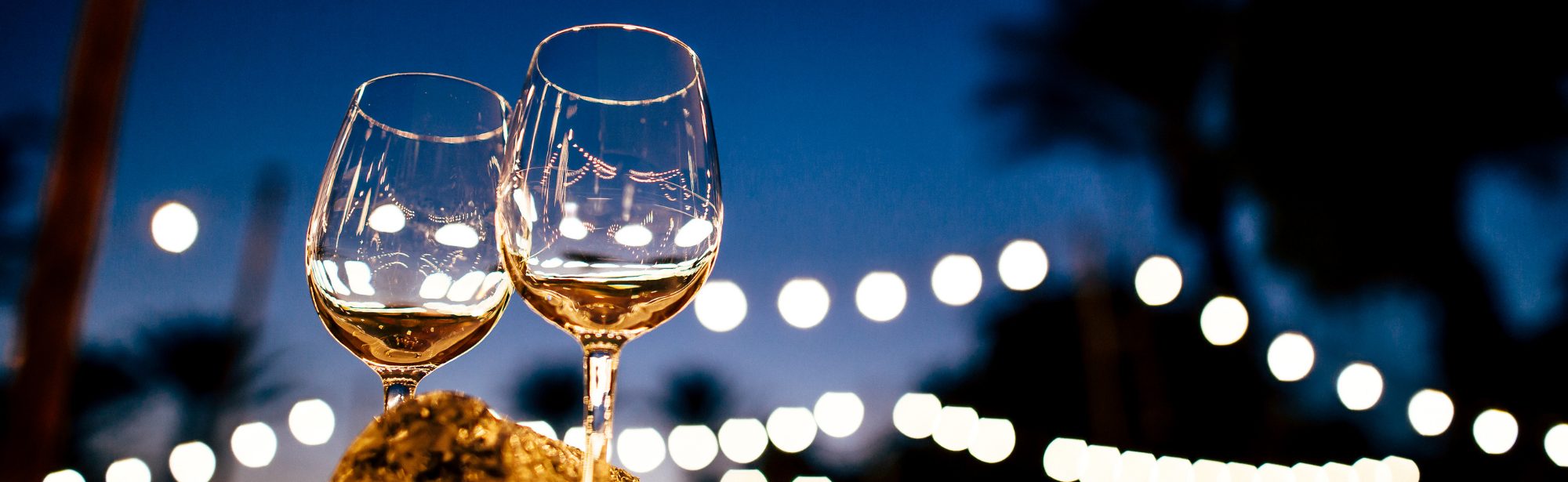 Wine Dinner & Tasting Event Banner