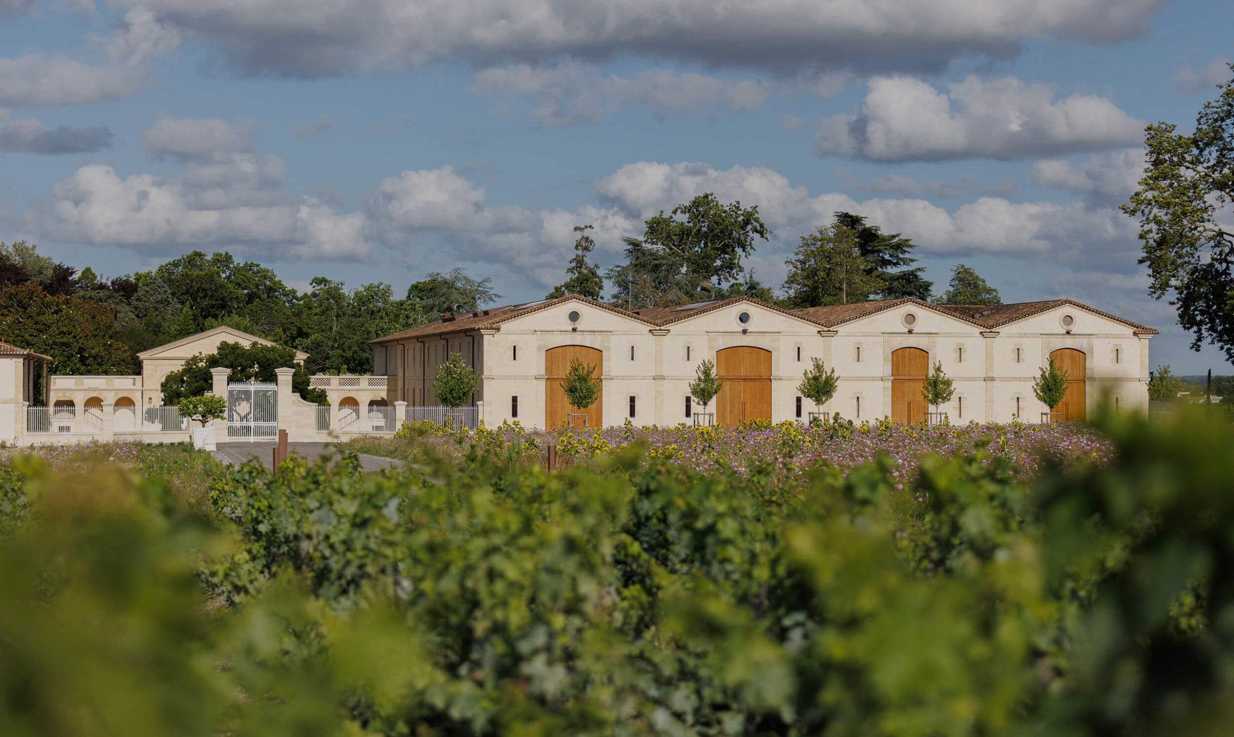 Château d'Armailhac Vineyard