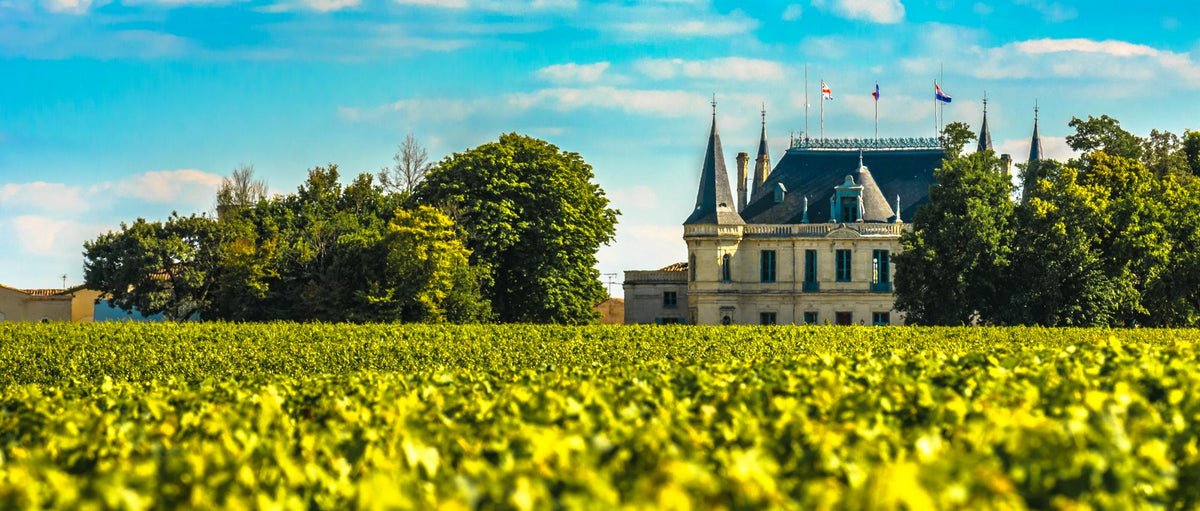 Château Malescot St. Exupéry vineyard in Margaux