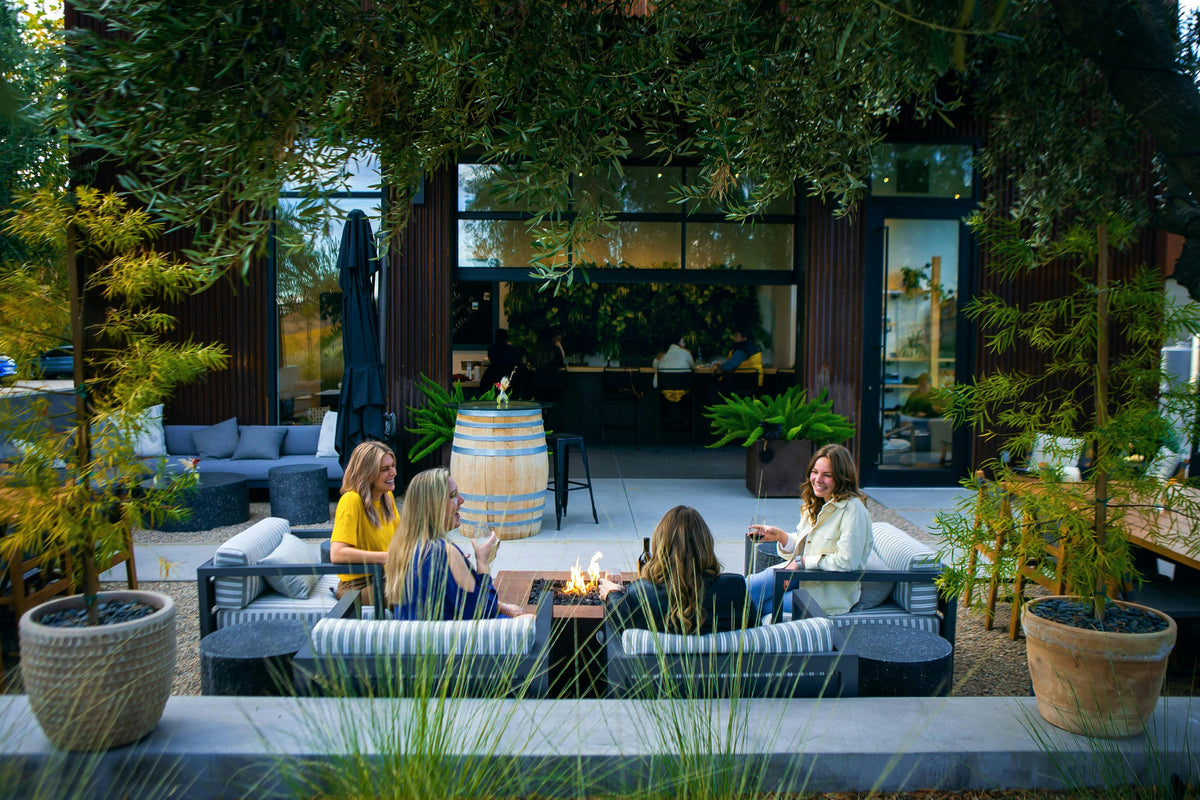 My Favorite Neighbor Paso Robles tasting lounge and vineyard setting