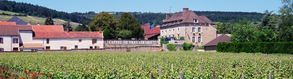 Domaine Billard Gonnet Banner