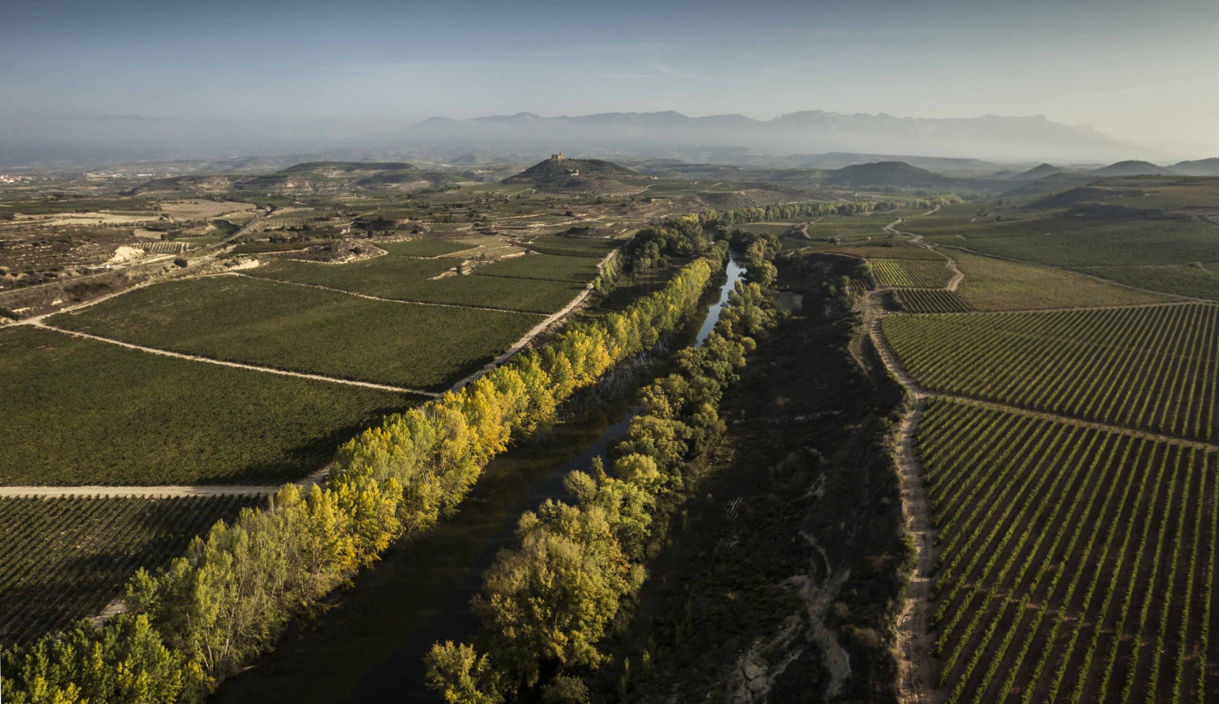 CVNE Monopole Rioja Vineyards and Winery