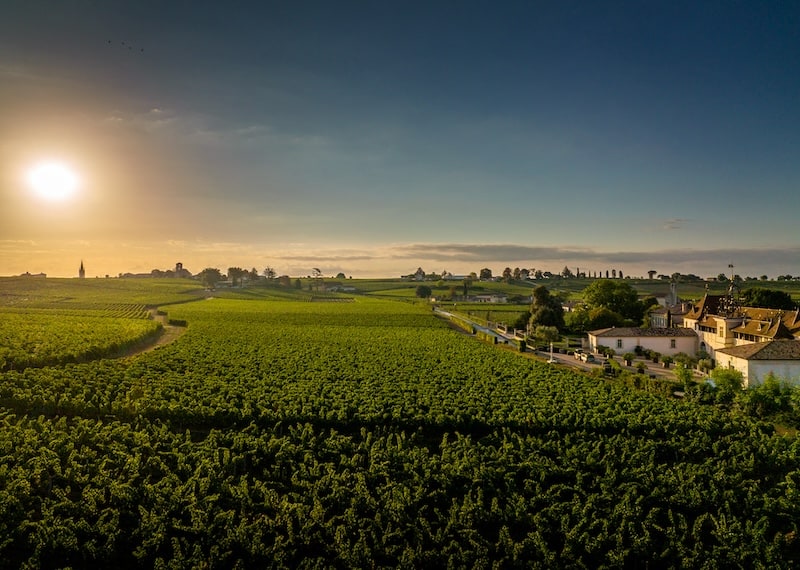 Chateau Angelus estate and vineyards in Saint-Emilion