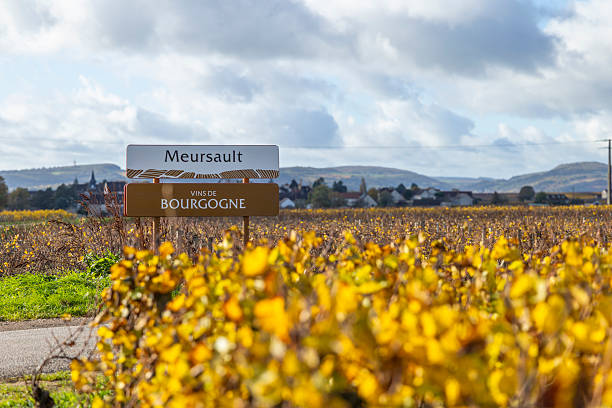 Domaine Albert Grivault Banner