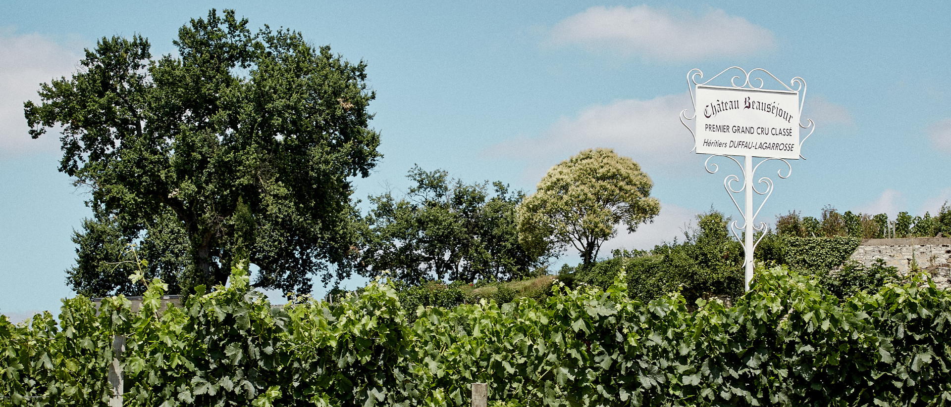 Chateau Beausejour Duffau-Lagarrosse Vineyards in Saint-Émilion