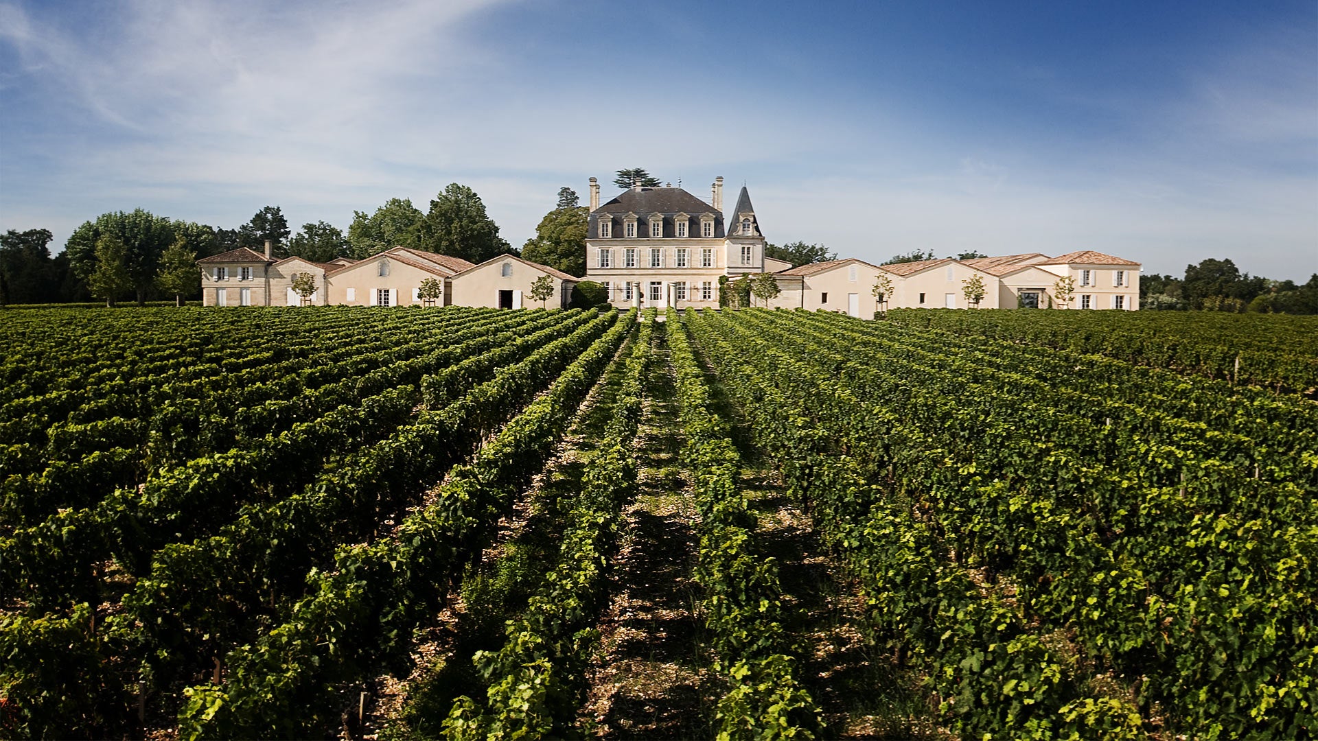 Chateau Grand-Puy-Lacoste Banner