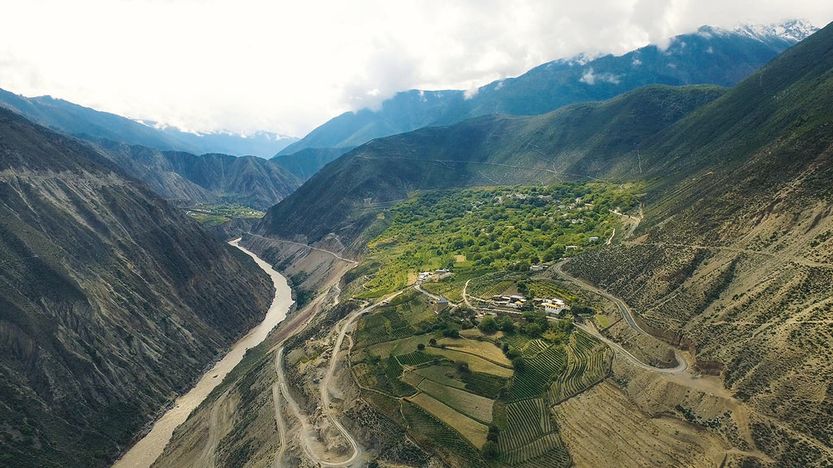 Ao Yun high-altitude vineyards in Shangri-La, Yunnan