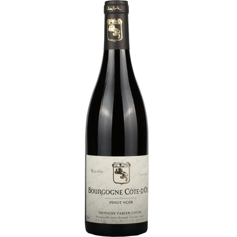 2020 Domaine Fabien Coche Bourgogne Cote-d&