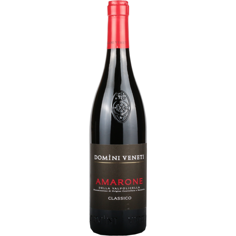 2021 Domini Veneti Amarone Classico DOCG