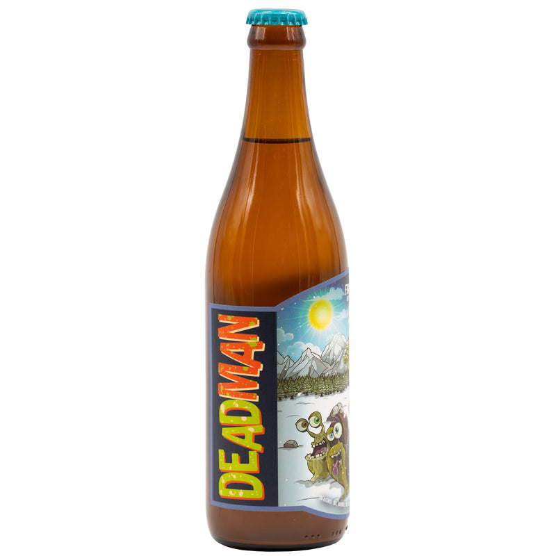 Frank on Sled Brett Honey Orange Sour (500 ml)